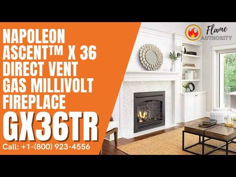  Deluxe 36 Direct-Vent LP Millivolt Fireplace : Home & Kitchen