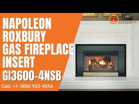 Napoleon Roxbury 3600 GAS Fireplace Insert GI3600-4NSB