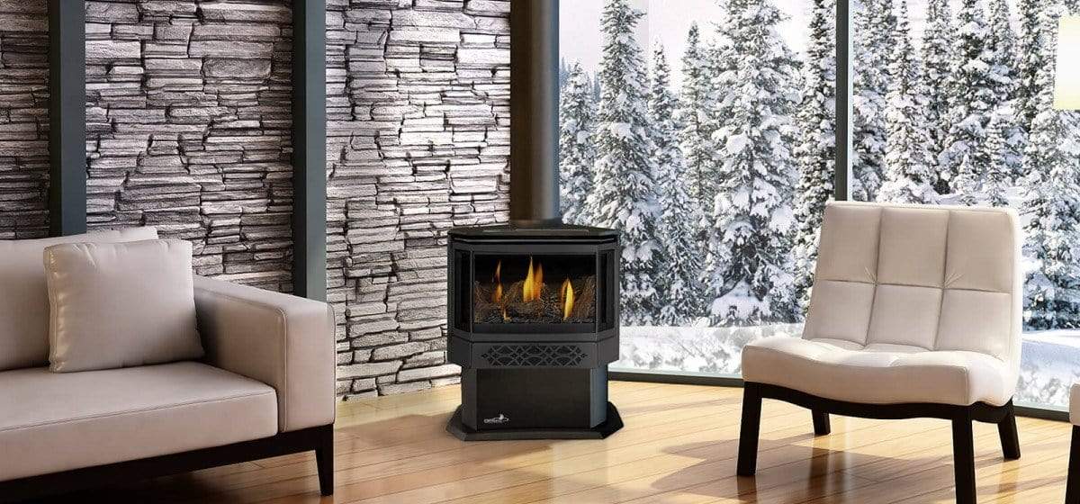 Napoleon Haliburton™ Direct Vent Ipi System Gas Stove GDS28 – Flame  Authority