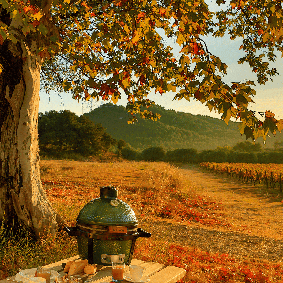 Big Green Egg MiniMax Ceramic Kamado Grill Grills 119650 Flame Authority