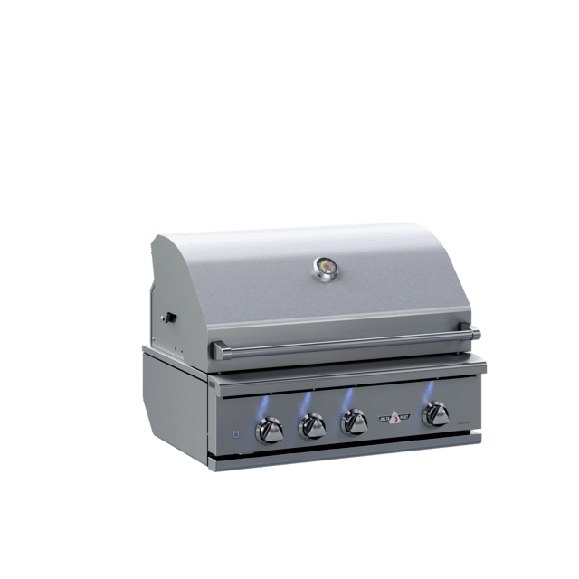 Delta Heat 32-Inch Built-In Gas Grill with Rotisserie Flame Authority