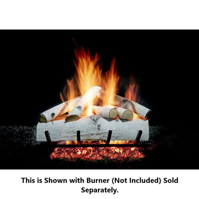Golden Blount 24" Winter Wood Birch See Through Vented Gas Log Set (Logs Only) Flame Authority