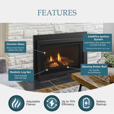 Majestic Jasper 30" Direct Vent Gas Fireplace Insert JASPER30IN Fireplaces JASPER30IN Flame Authority