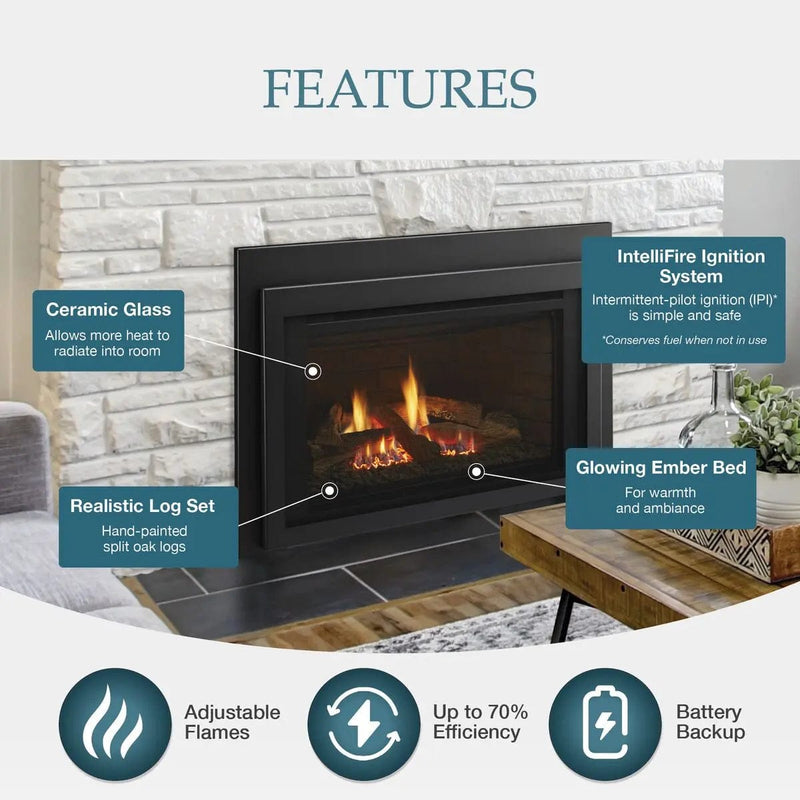 Majestic Jasper 30" Direct Vent Gas Fireplace Insert JASPER30IN Fireplaces JASPER30IN Flame Authority