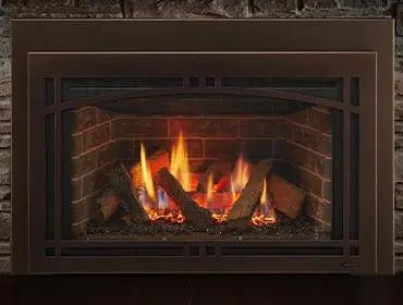 Majestic Ruby 25" Direct Vent Gas Fireplace Insert RUBY25 Fireplaces Flame Authority