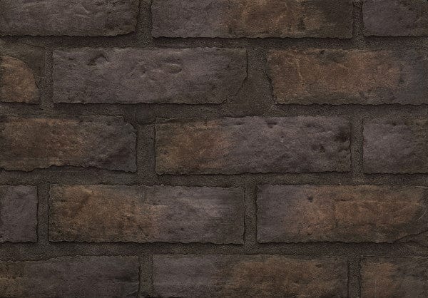 Napoleon 36-Inch Ascent Series MIRRO-FLAME ™ Decorative Brick Panels DBPX36