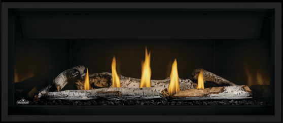 Napoleon Ascent™ Linear Premium Series 46" Direct Vent Gas Fireplace BLP46NTE