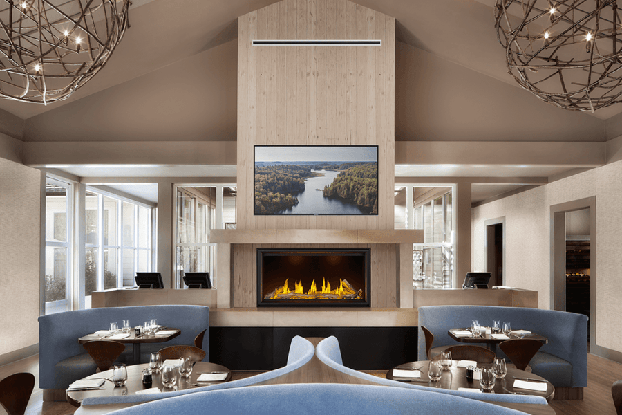 Napoleon Tall Linear Vector ™ Series 50" Direct Vent Gas Fireplace TLV50N