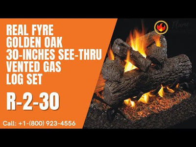 Real Fyre  Golden Oak 30-inches See-Thru Vented Gas Log Set R-2-30