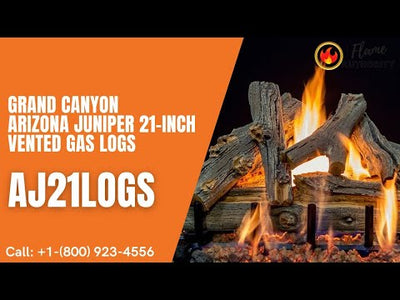 Grand Canyon Arizona Juniper 21-inch Vented Gas Logs AJ21LOGS