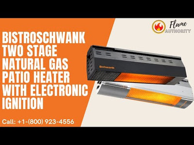 BistroSchwank Two Stage Natural Gas Patio Heater With Electronic Ignition