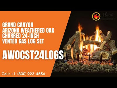 Grand Canyon Arizona Weathered Oak Charred 24-inch Vented Gas Log Set AWOCST24LOGS