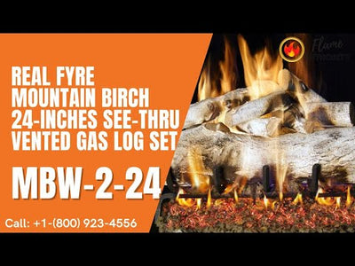 Real Fyre Mountain Birch 24-inches See-Thru Vented Gas Log Set MBW-2-24