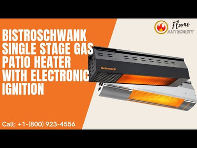BistroSchwank Single Stage Gas Patio Heater With Electronic Ignition