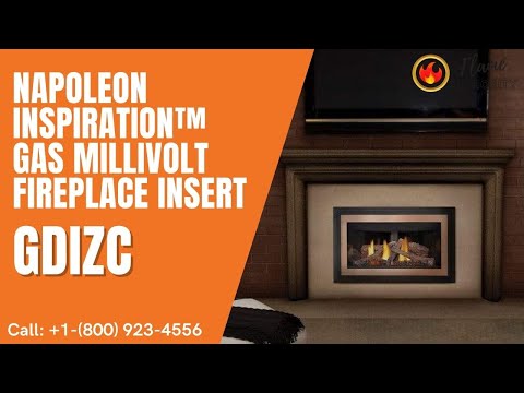Napoleon Inspiration™ Gas Millivolt Fireplace Insert GDIZC