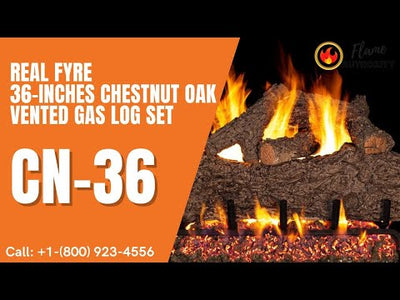 Real Fyre 36-inches Chestnut Oak Vented Gas Log Set CN-36