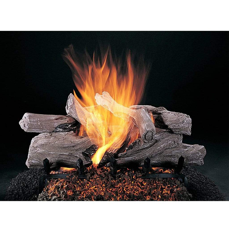 Rasmussen 20" Double Face Evening Campfire Vented Gas Log Log Set DF-EC20 Flame Authority