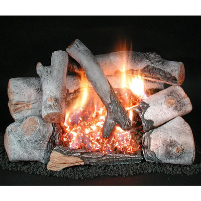 Rasmussen 24" Chillbuster Evening Embers Vent-Free Birch Gas Logs Log Set HB24 Flame Authority