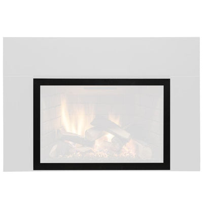 Sierra Flame Safety Screen for Abbot Gas Fireplace Insert ABBOT-DVISC