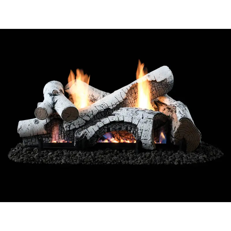 Superior Highridge Birch 18" Nature-Flame Vent-Free Gas Log Set Fireplace Log Sets LNF18HB Flame Authority