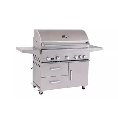 Whistler by Bonfire Outdoor Prime 500 42 inch 5-Burner Freestanding Natural Gas Grill with Infrared Rear Burner CBF500CDC-NG