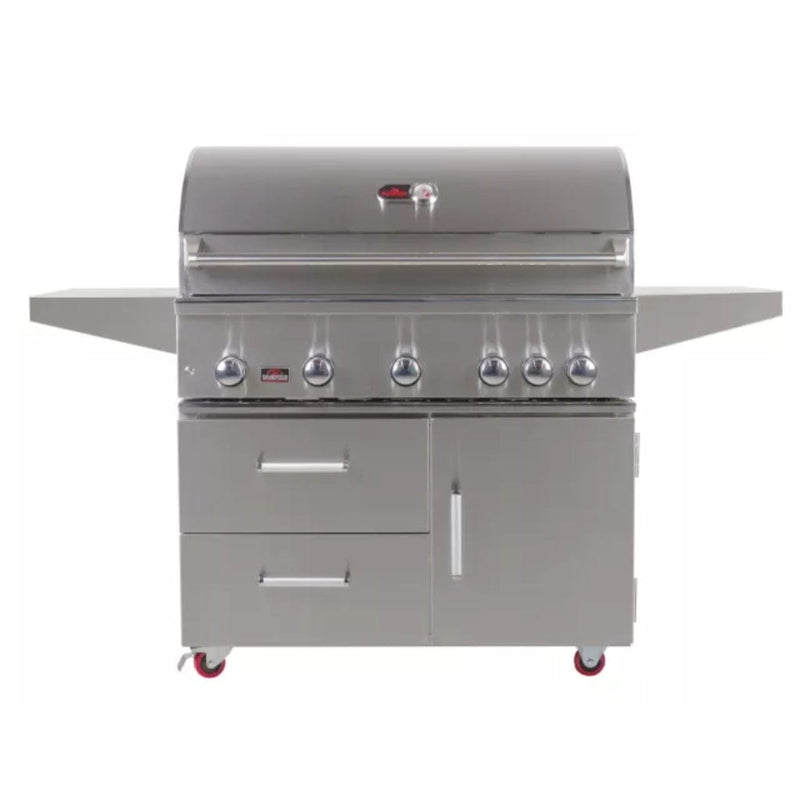 Whistler by Bonfire Outdoor Prime 500 42 inch 5-Burner Freestanding Natural Gas Grill with Infrared Rear Burner CBF500CDC-NG