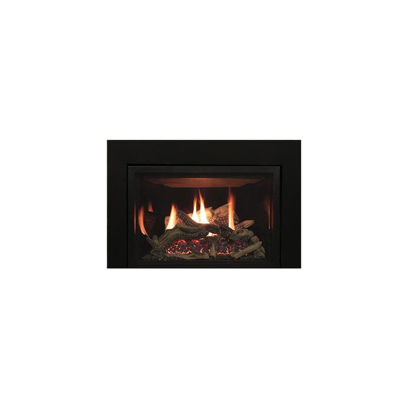 Empire 30" Rushmore Clean Face Fireplace Insert DVCT30CBN95