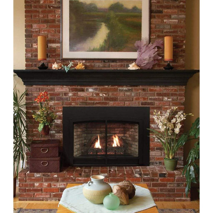 Empire 40" Innsbrook Small Clean Face Gas Fireplace Insert DVC20IN31