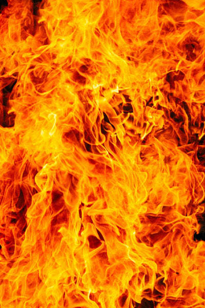 Fire Pit Art Vesuvius 21-inch Wood Burning Fire Pit - VES