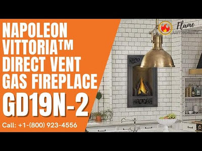 Napoleon Vittoria™ Direct Vent Gas Fireplace GD19N-2