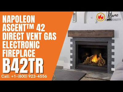 Napoleon Ascent™ 42 Direct Vent Gas Electronic Fireplace B42TR