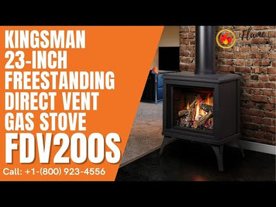 Marquis by Kingsman Titan 23-inch Freestanding Direct Vent Gas Stove FDV200S