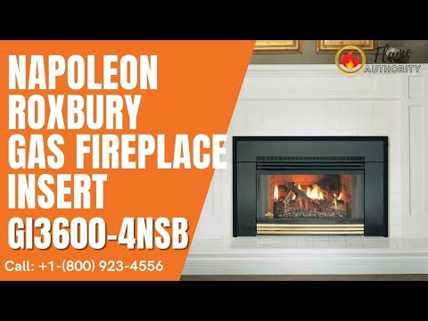 Napoleon Roxbury™ 3600 Gas Fireplace Insert GI3600-4NSB