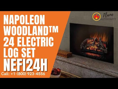 Napoleon Woodland 24 Electric Fireplace Log Set NEFI24H