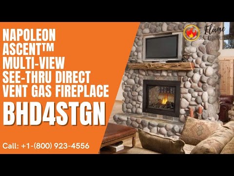 Napoleon Ascent™ Multi-View See-Thru Direct Vent Gas Fireplace BHD4STGN