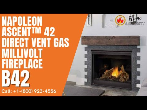 Napoleon Ascent™ 42 Direct Vent Gas Millivolt Fireplace B42