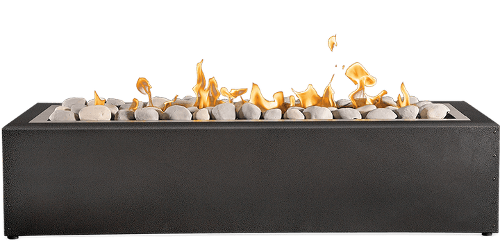 Napoleon 52" Linear Patioflame Outdoor Gas Fire Pit GPFL48MHP