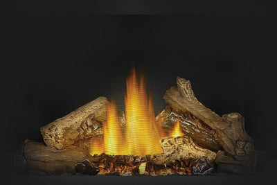Napoleon Ascent™ 46 Direct Vent Gas Millivolt Fireplace B46