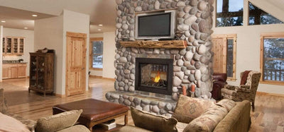 Napoleon Ascent™ Multi-View See-Thru Log Set Direct Vent Gas Fireplace BHD4-LOGS