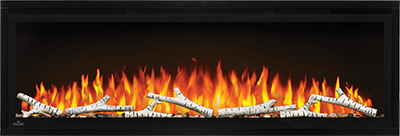 Napoleon Entice™ 50 Electric Fireplace NEFL50CFH