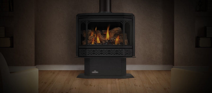 Napoleon Haliburton™ Direct Vent Millivolt Gas Stove GDS28-1NSB