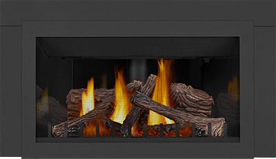 Napoleon Inspiration™ Gas Millivolt Fireplace Insert GDIZC