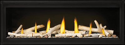 Napoleon Luxuria™ 50 Direct Vent Gas Fireplace LVX50