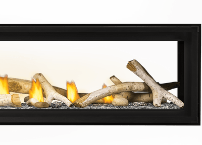 Napoleon Luxuria™ 74 See Through Direct Vent Gas Fireplace LVX74