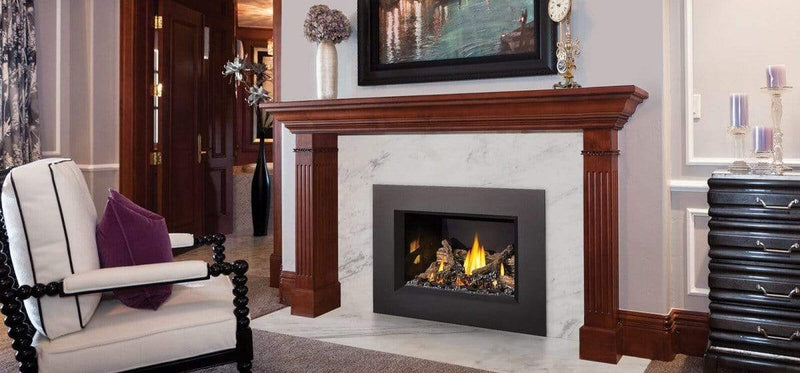 Napoleon Oakville™ X3 Gas Fireplace Insert