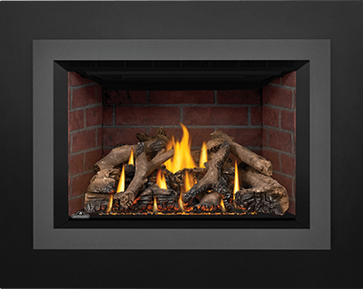 Napoleon Oakville™ X4 Gas Fireplace Insert GDIX4N