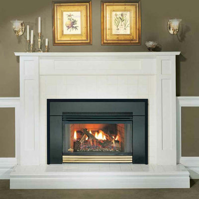 Napoleon Roxbury™ 3600 Gas Fireplace Insert GI3600-4NSB