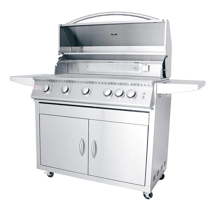 Premier 40" L RCS Freestanding Grill with LED Lights RJC40AL CK